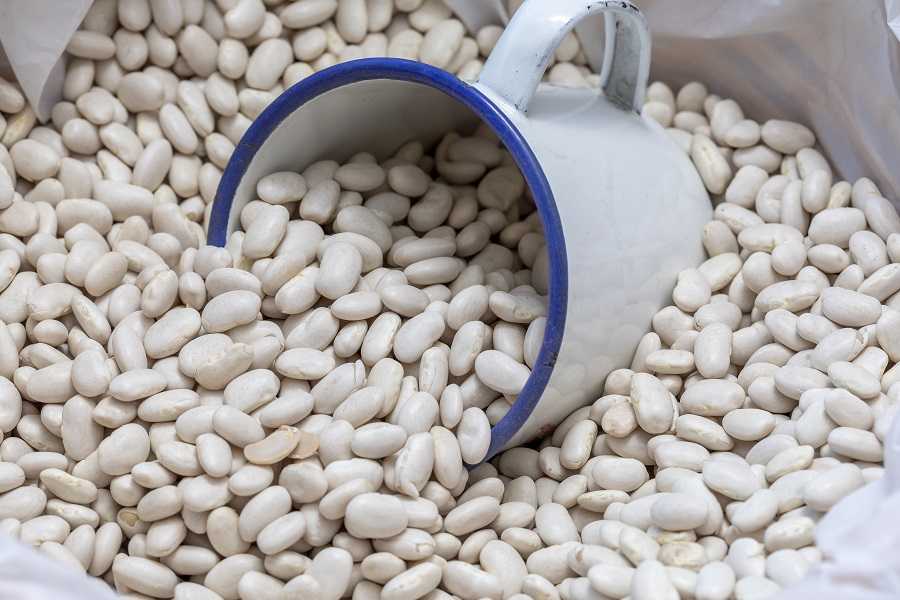 Фасоль белая консервированная — какие витамины содержит