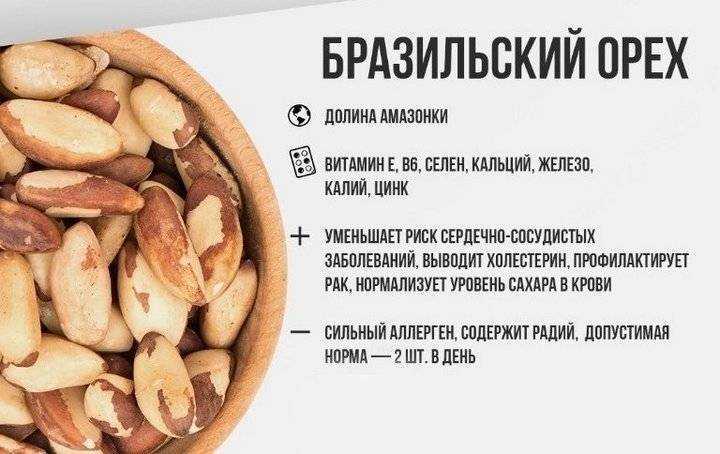 Миндаль: польза ореха для организма и возможный вред от употребления