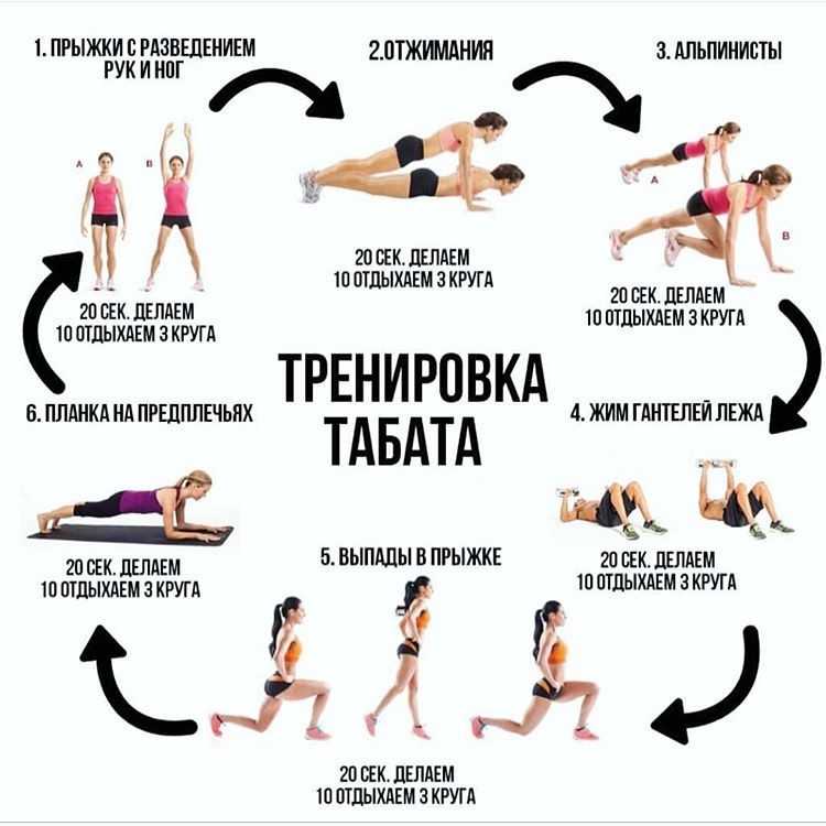 Программа тренировки круговой для девушки: примеры эффективных упражнений для женщин