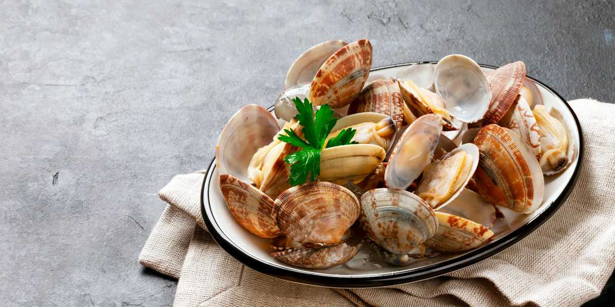 Морской гребешок: бжу (содержание белков, жиров, углеводов), калорийность, питательная ценность и польза
