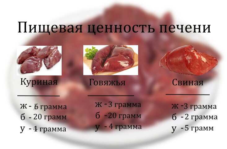 Калорийность печень куриная отварная. химический состав и пищевая ценность.