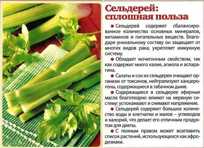 Сельдерей — витамины