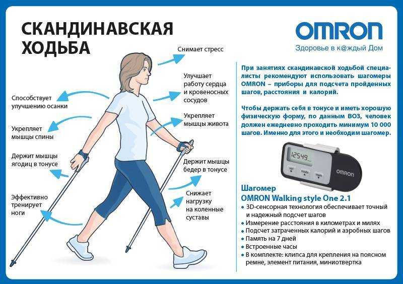 Польза и вред от скандинавской ходьбы