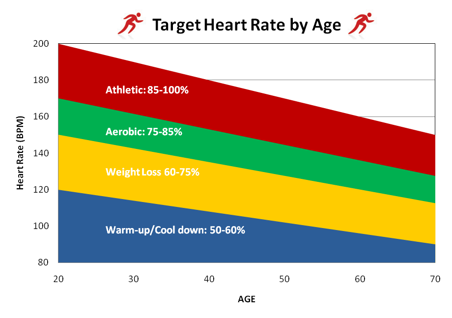 Спортивное сердце. как контролировать повышение пульса во время тренировок?
