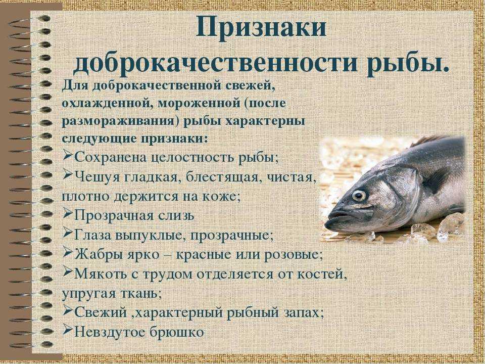 Масляная рыба (эсколар) — сколько углеводов (на 100 грамм)