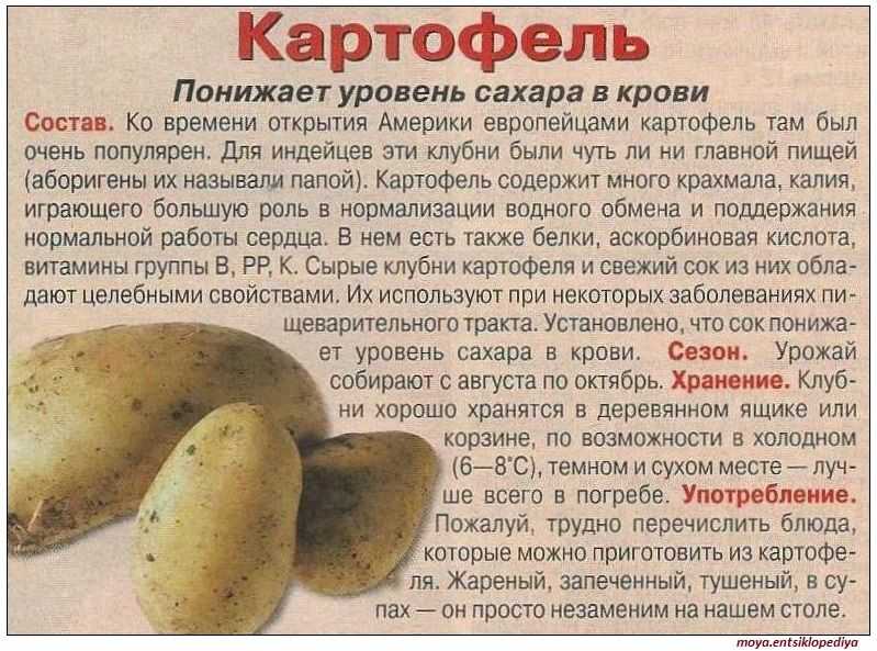 Картофель жареный — калорийность