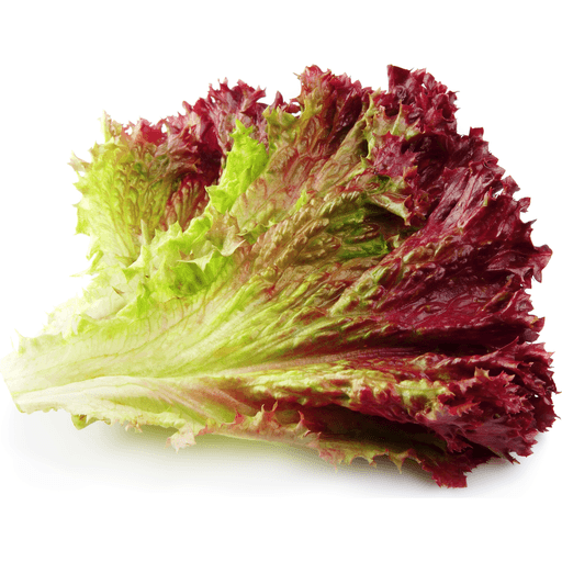 Салат латук красный — химический состав, пищевая ценность, бжу