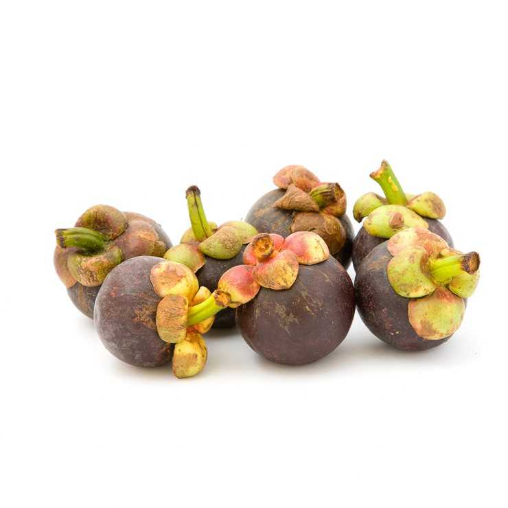 Мангостин (мангустин) фрукт, полезные свойства и противопоказания