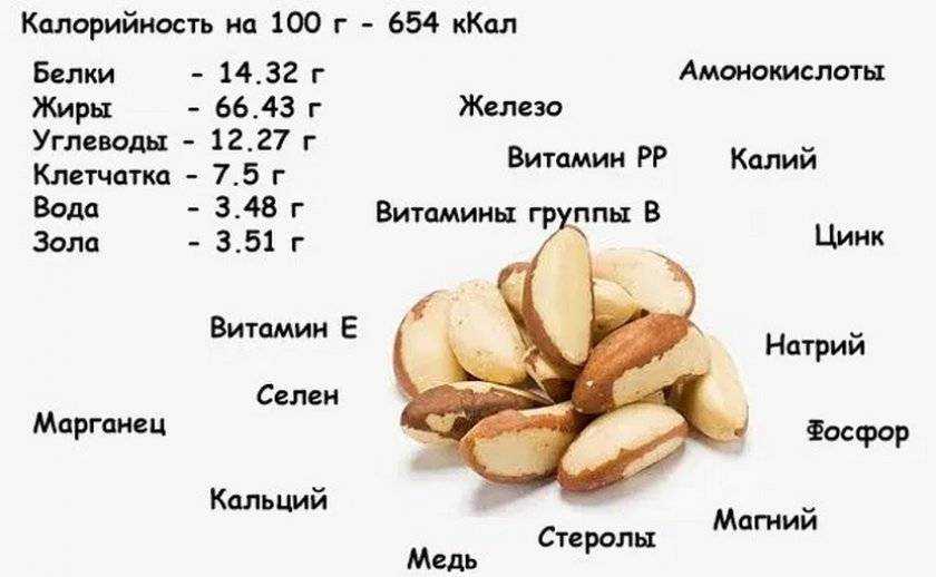Орех макадамия: состав, калорийность, соотношение белков жиров и углеводов