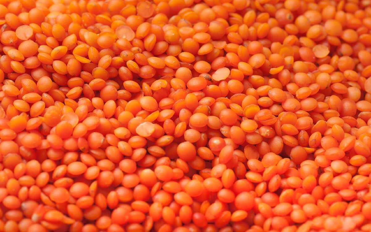 Чечевица: полезные свойства и калорийность | food and health
