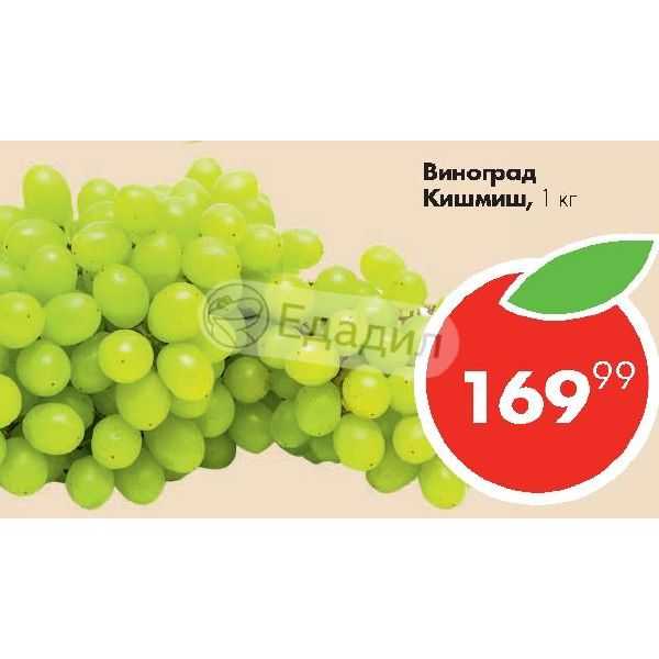 Белый виноград: калорийность на 100 грамм — 60,33 ккал. белки, жиры, углеводы, химический состав.