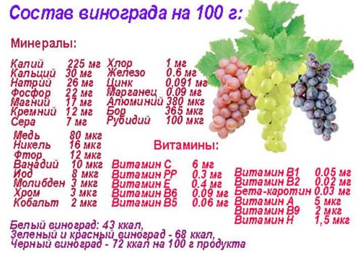 Узнаем можно ли есть виноград на ночь? сколько переваривается виноград в желудке? какой виноград полезнее