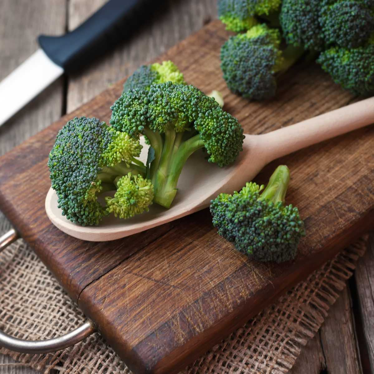 Капуста брокколи: химический состав, содержание витаминов, лечебные свойства, польза и вред, противопоказания, как правильно готовить