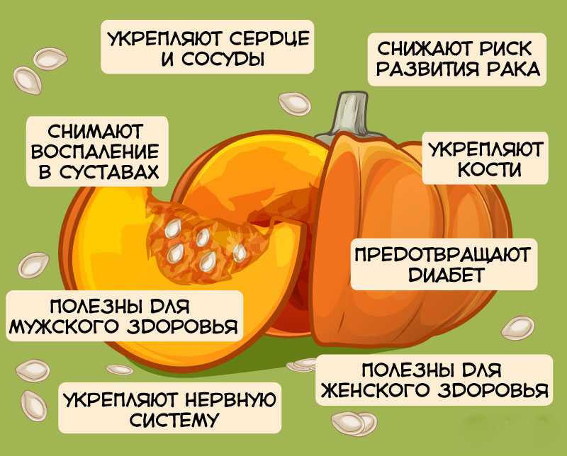Семена тыквы очищенные — сколько жиров (на 100 грамм)