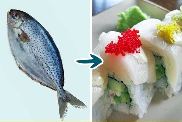 Масляная рыба (эсколар) — химический состав, пищевая ценность, бжу