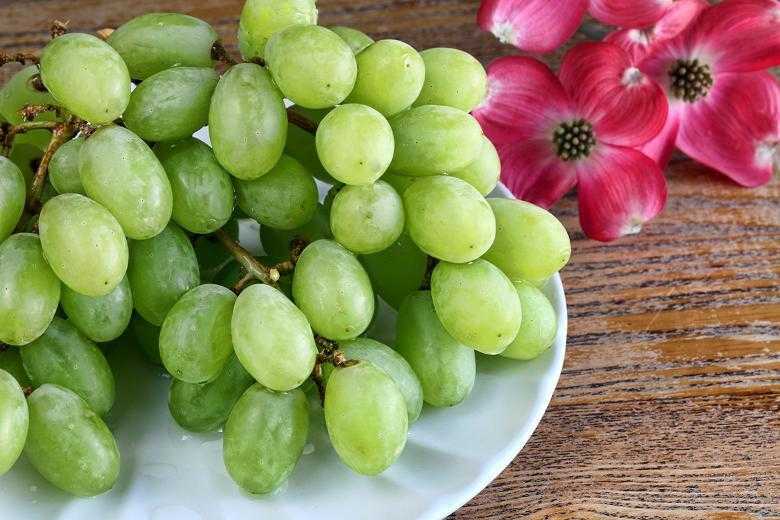 Калорийность винограда зеленый кишмиш: сколько сахара содержится