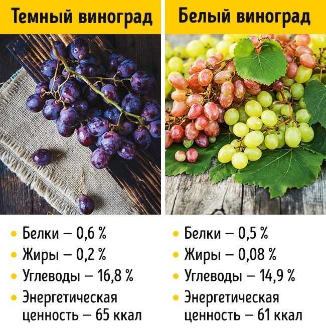 ✅ калорийность винограда зеленого кишмиш на 100 грамм: польза и вред, сколько содержится сахара, белков, жиров и углеводов - cvetochki-rostov-na-donu.ru