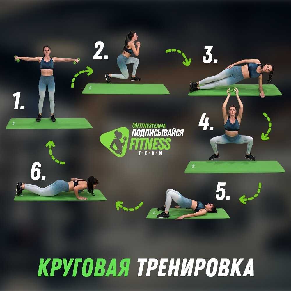 Комплексы упражнений со штангой или грифом для мужчин и женщин в домашних условиях | rulebody.ru — правила тела