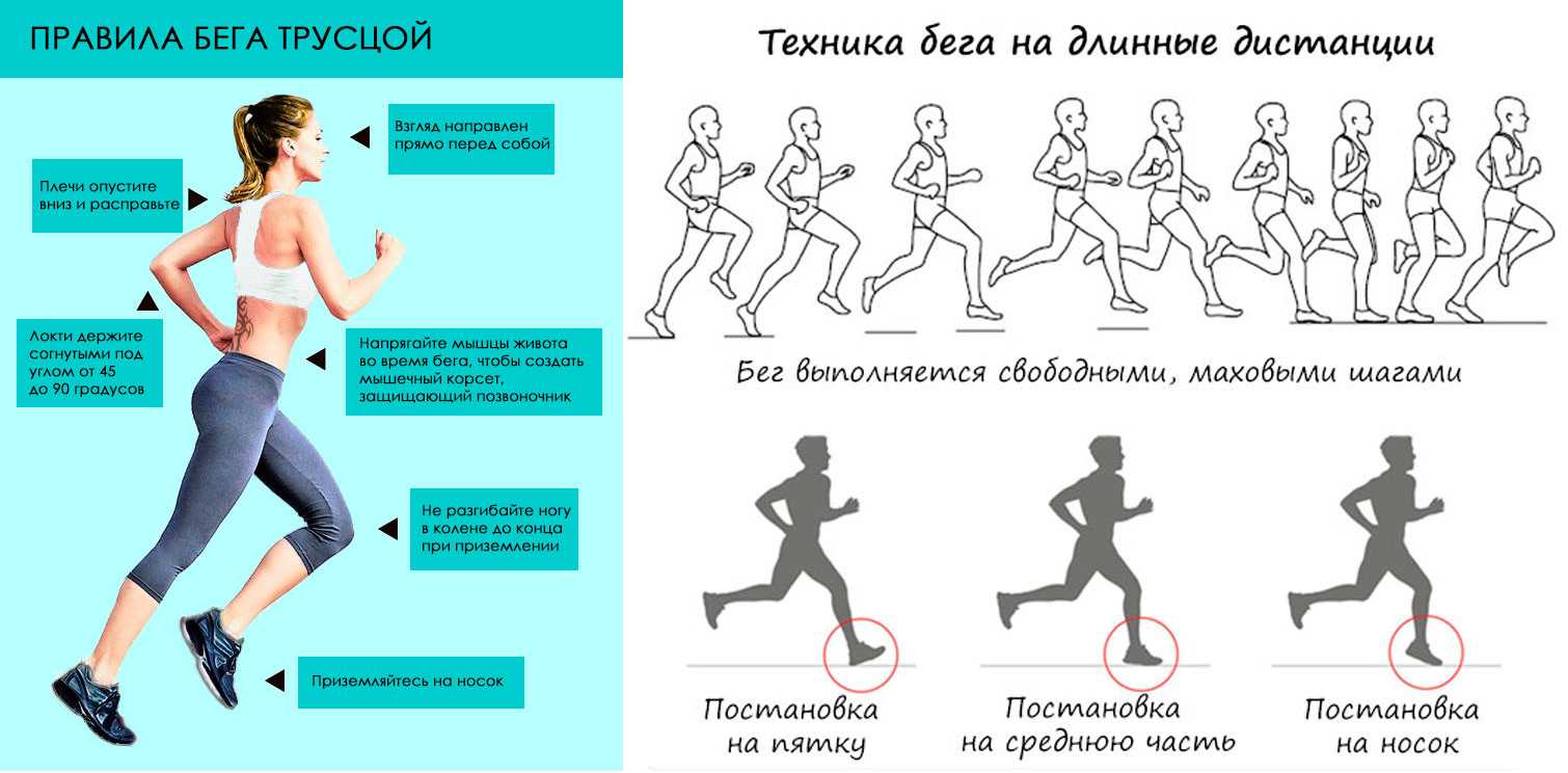 Мышцы и бег: какие мышцы работают, связь бега и набора мышечной массы