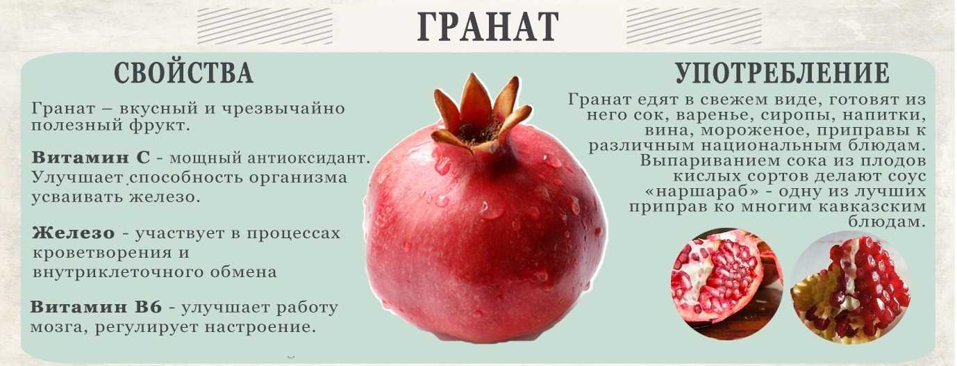 🔴 гранатовый сок: польза для организма человека, а также возможный вред и противопоказания. selo.guru — интернет портал о сельском хозяйстве