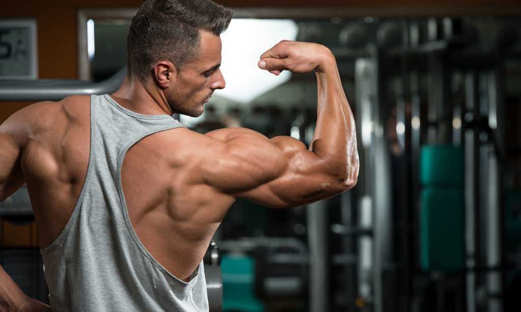 Фитнес-мифы: удивлять мышцы на каждой тренировке - fitlabs / ирина брехт