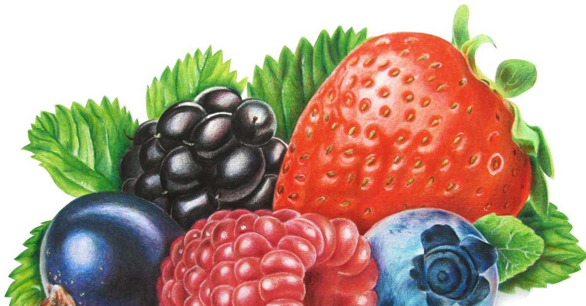 Чем полезна клубника: улучшение функций печени, почек, жкт, борьба с гипертонией