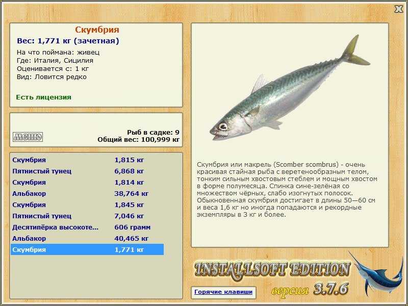Рыба скумбрия: калорийность на 100 грамм — 191 ккал. белки, жиры, углеводы, химический состав.