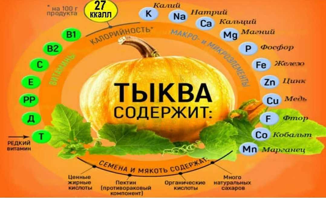 Семечки тыквы