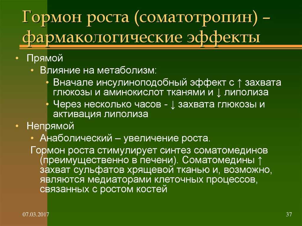 Как эффективно качать мышечную массу? правила и принципы.