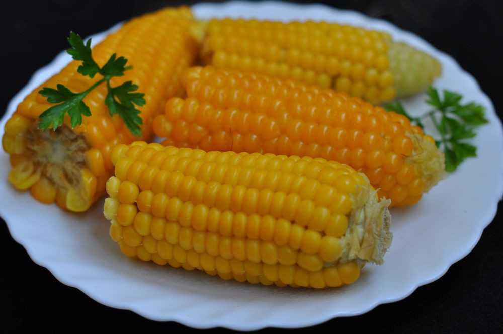 Кукуруза варёная — химический состав, пищевая ценность, бжу