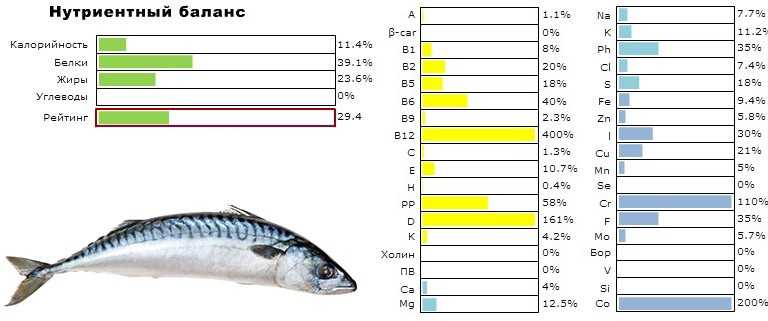 Скумбрия соленая калории. Витамины в рыбе скумбрия. Рыба скумбрия состав. Скумбрия витамины и микроэлементы таблица. Скумбрия состав витаминов.