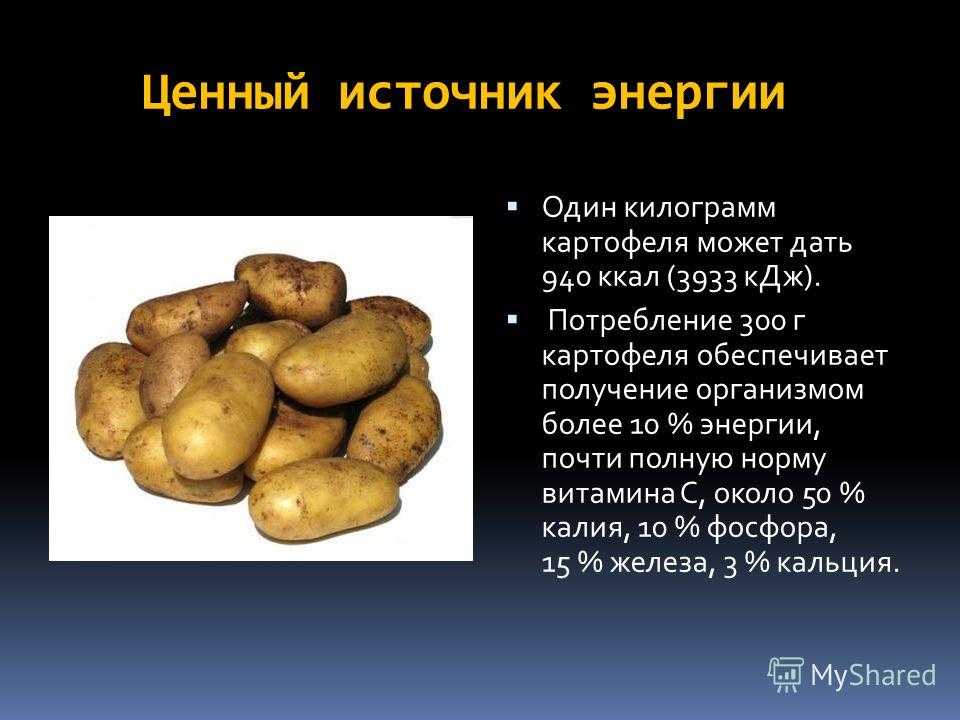 Какие витамины есть в картошке и в чем ее польза
