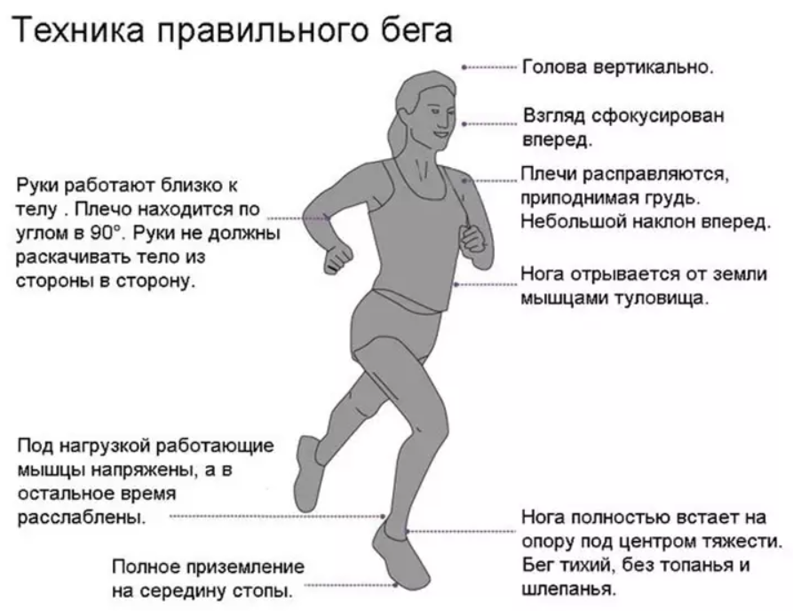 Когда лучше бегать: до или после тренировки с весом