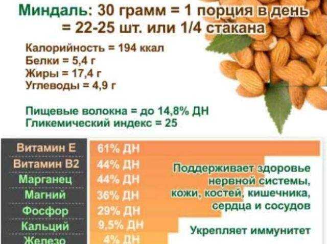 Миндаль горький: калорийность на 100 грамм — 609 ккал. белки, жиры, углеводы, химический состав.