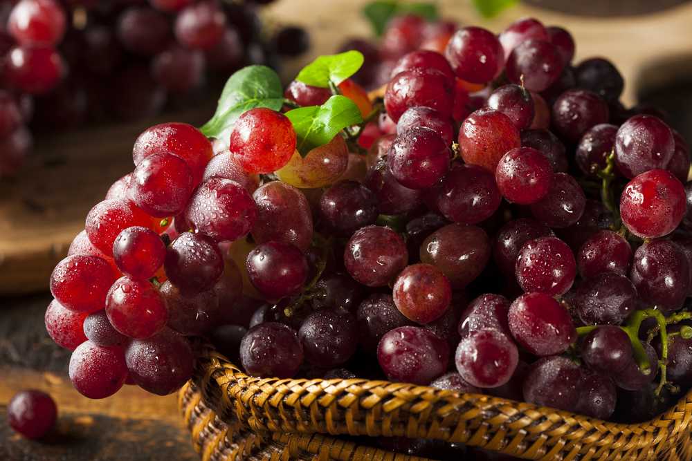 Зеленый виноград: польза и вред для организма