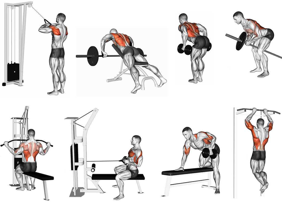 Правильная техника выполнения упражнения тяга гантели к поясу одной рукой в наклоне для тренировки широчайших мышц спины без травм и с хорошим прогрессом