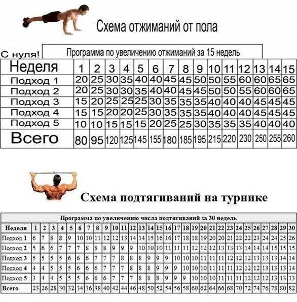 Как научиться отжиматься от пола с нуля: рекомендации начинающим