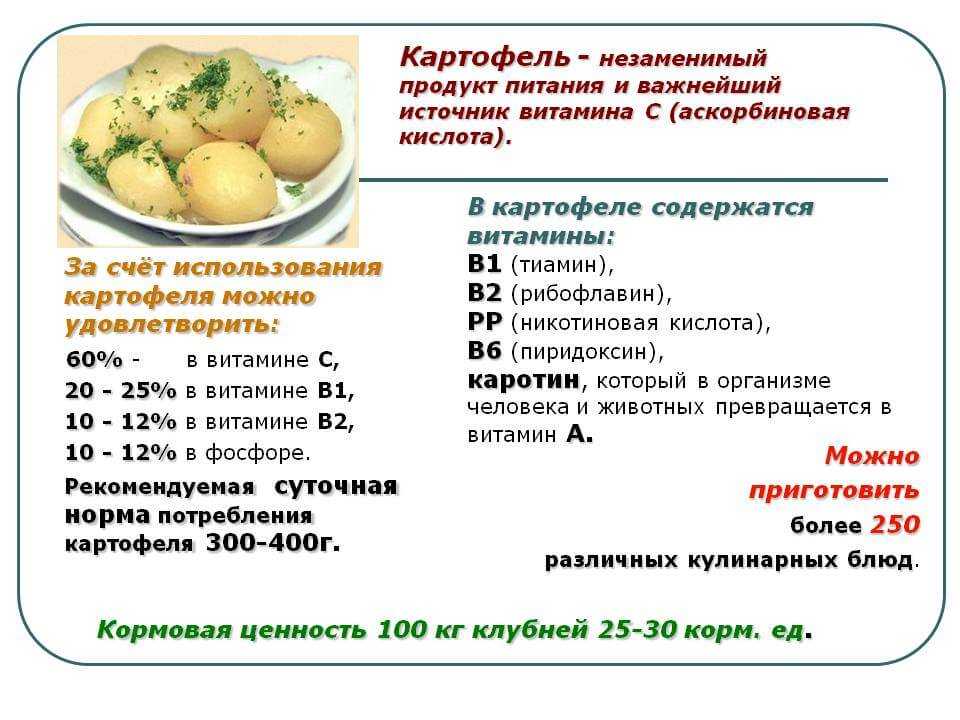 Витамины в картофеле (таблица), какие витамины в картошке, что содержит картофель