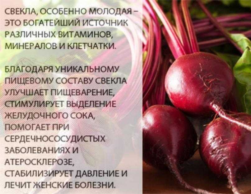 Свекла: полезные свойства и противопоказания