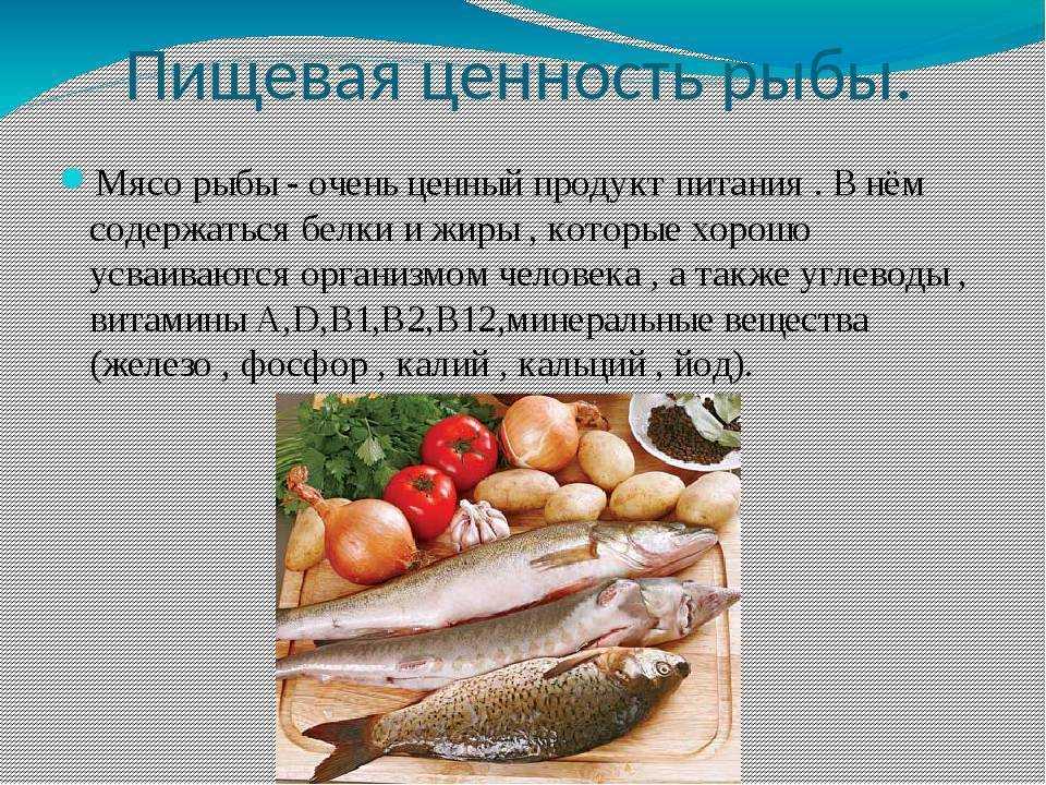 Рыба В Питании Человека