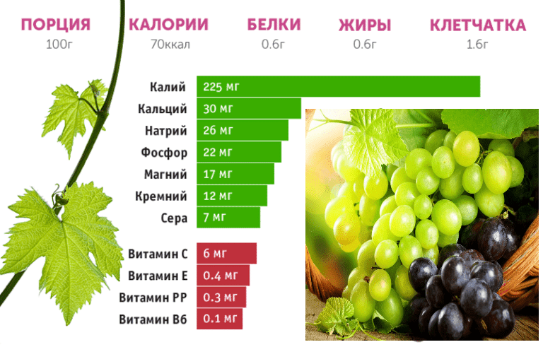 Виноградные листья - описание, состав, калорийность и пищевая ценность - patee. рецепты