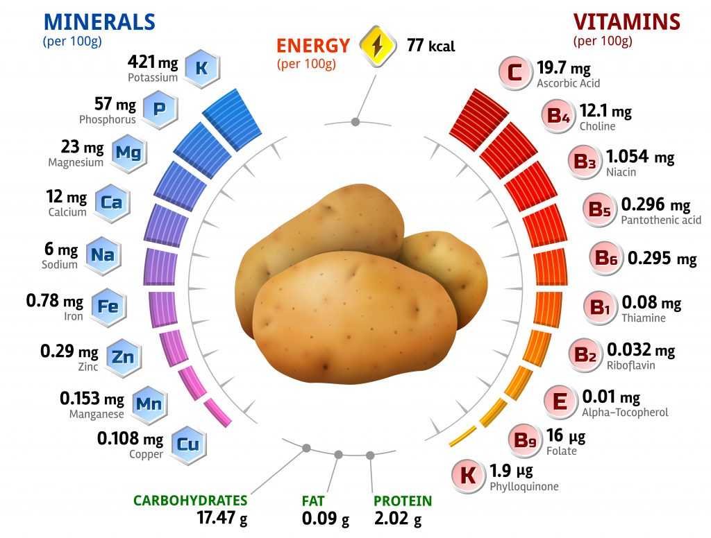 Картофель жареный — какие витамины содержит