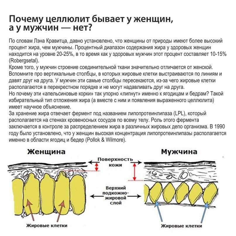 Как похудеть в икрах? полное практическое руководство.
