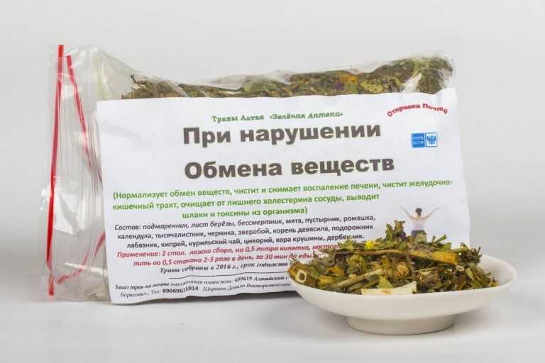 Использование трав для улучшения обмена веществ | medisra.ru