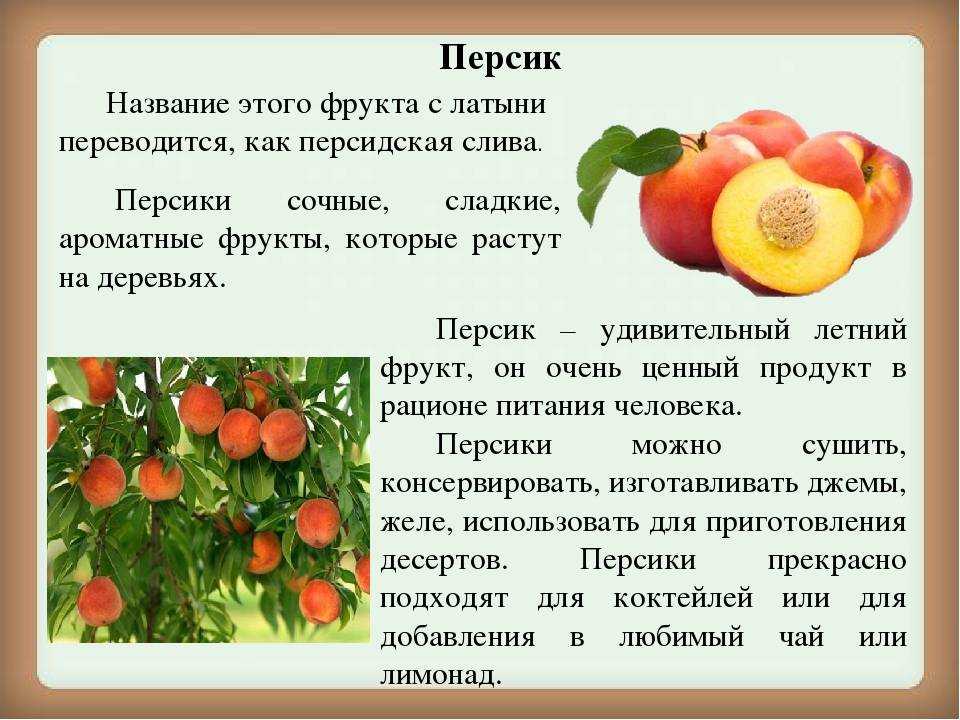 Что значит персик у девушки. Описание фрукта. Персик для презентации. Информация о персике. Фрукты для презентации.
