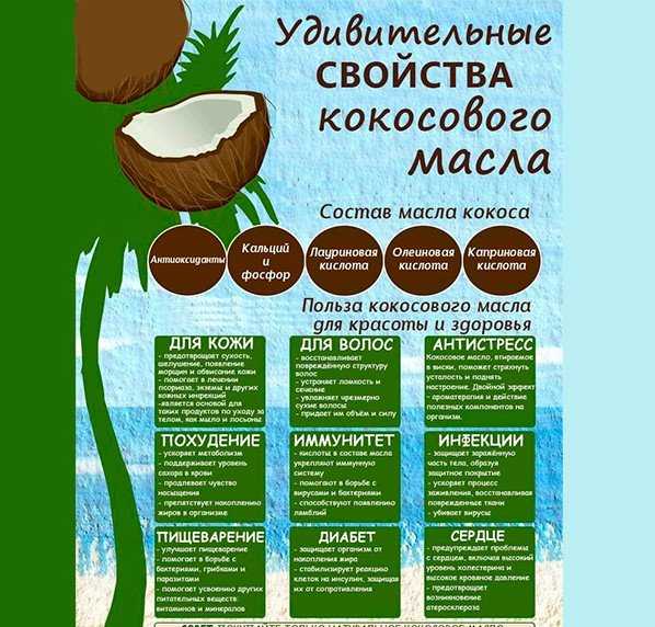 Мякоть кокоса — химический состав, пищевая ценность, бжу