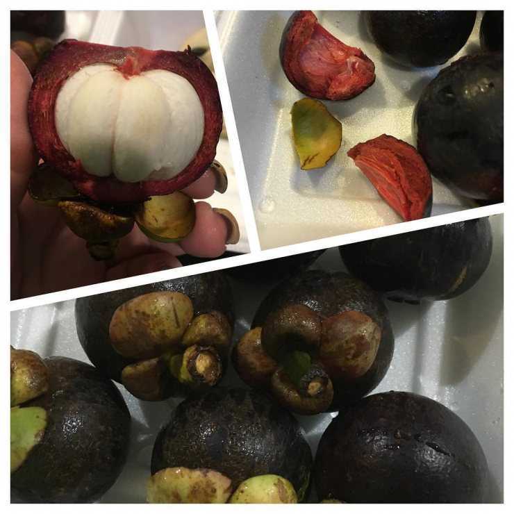 Тропический фрукт мангустин: состав, польза, как едят