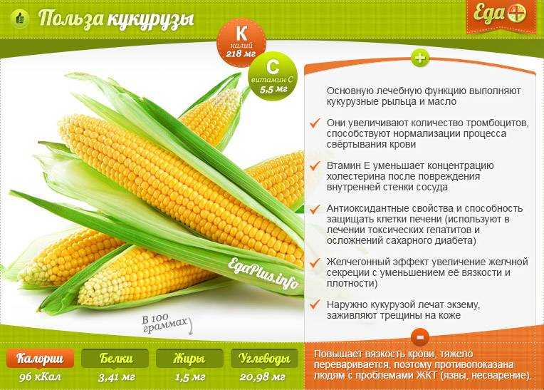 Кукуруза: калорийность на 100 грамм