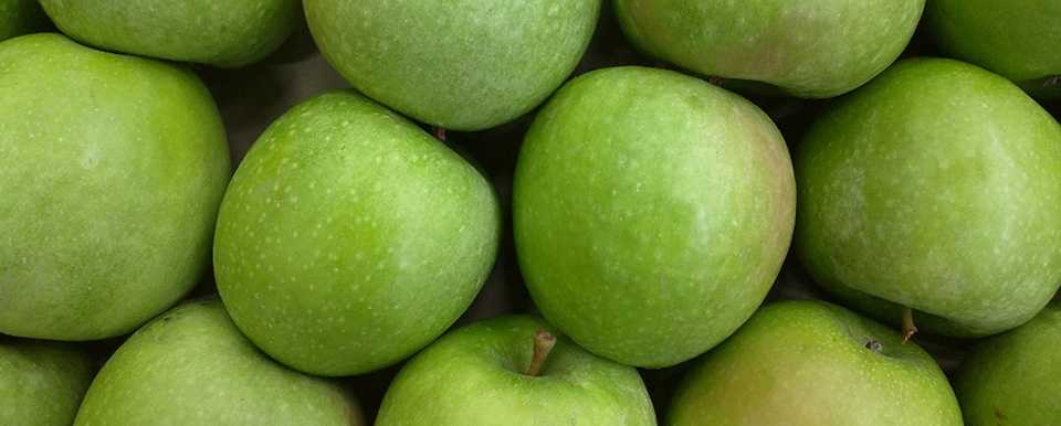 Яблоня гренни смит: особенности сорта и ухода