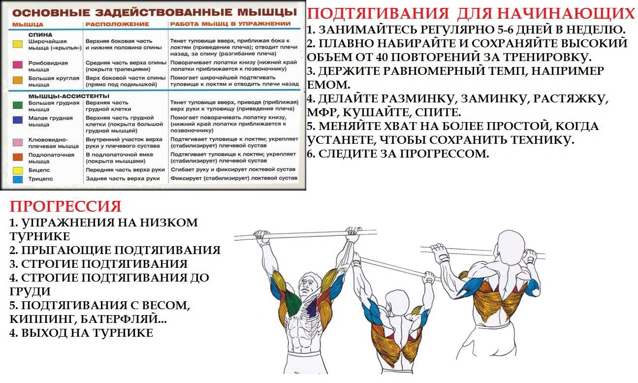 Какие мышцы работают при подтягивании на турнике - описание, комплекс упражнений и отзывы